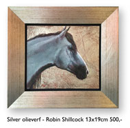 Silver - Robin Shillcock