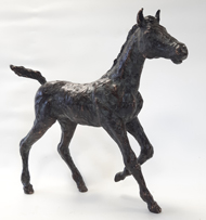 VeulenC Janna van de Kaa